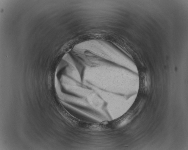 X0000087400562200705181335