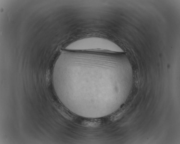 X0000087400563200705181335