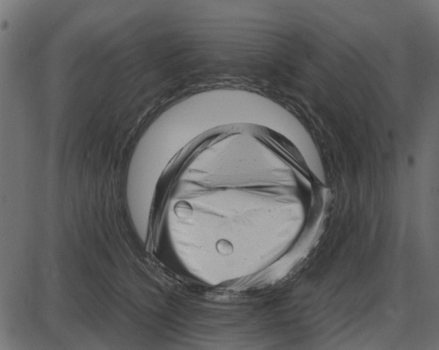 X0000087400564200705181335