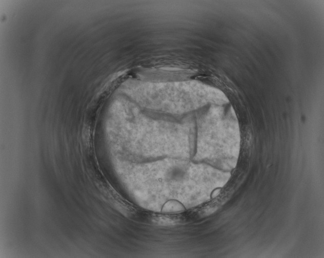 X0000087400565200705181335