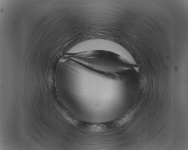 X0000087400566200705181335