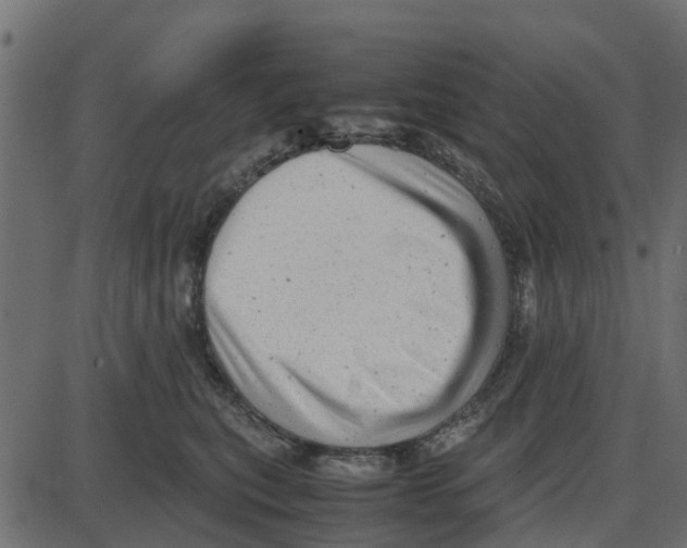 X0000087400567200705181335