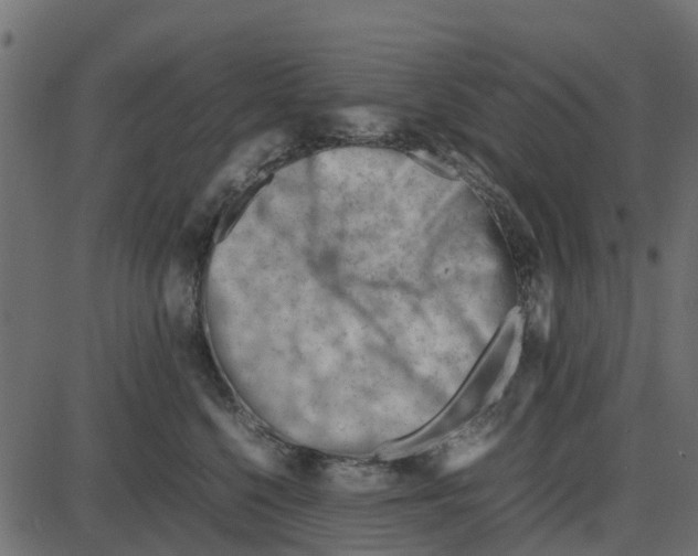 X0000087400568200705181335