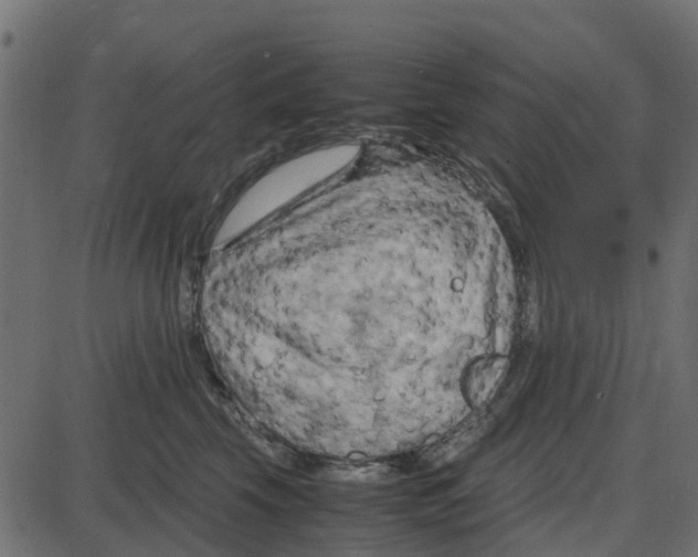 X0000087400569200705181335