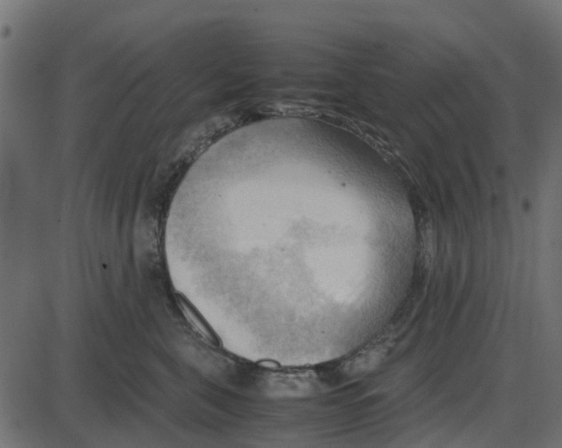 X0000087400571200705181335