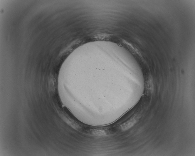 X0000087400572200705181335