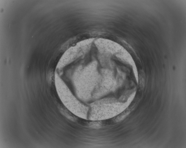 X0000087400574200705181335