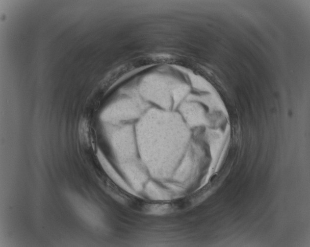 X0000087400575200705181335