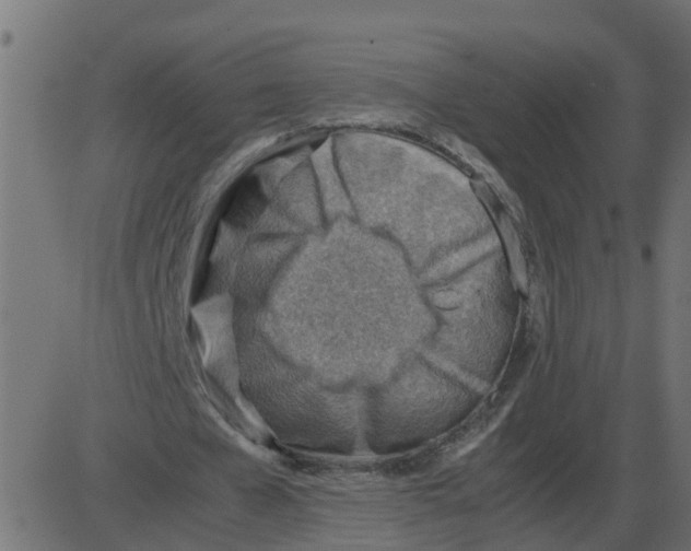 X0000087400577200705181335