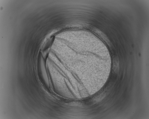 X0000087400578200705181335