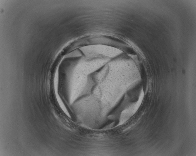 X0000087400580200705181334