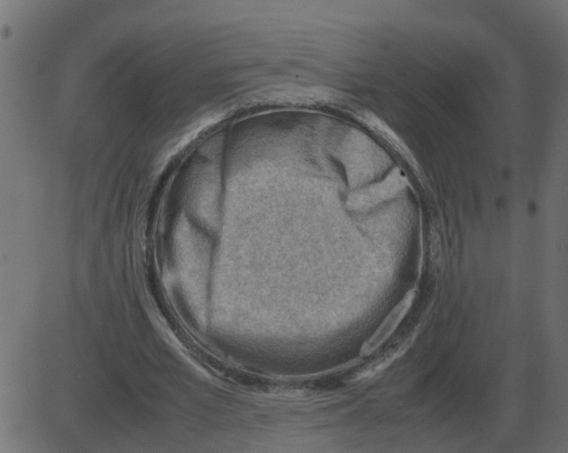 X0000087400581200705181334