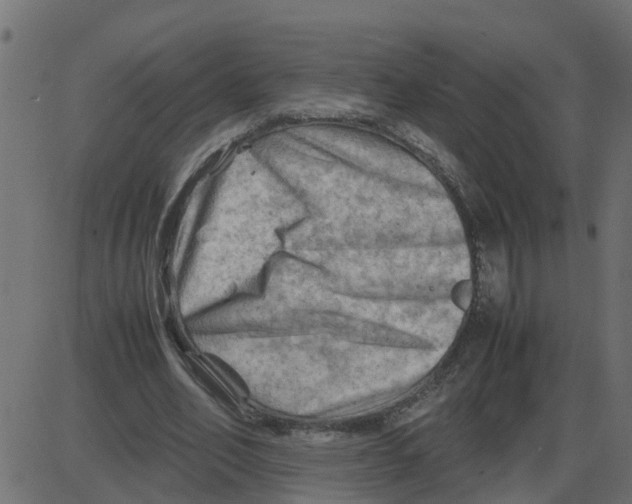 X0000087400582200705181334