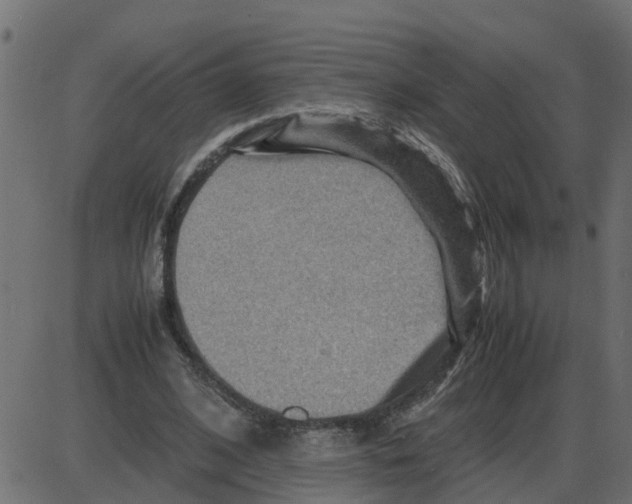 X0000087400584200705181334