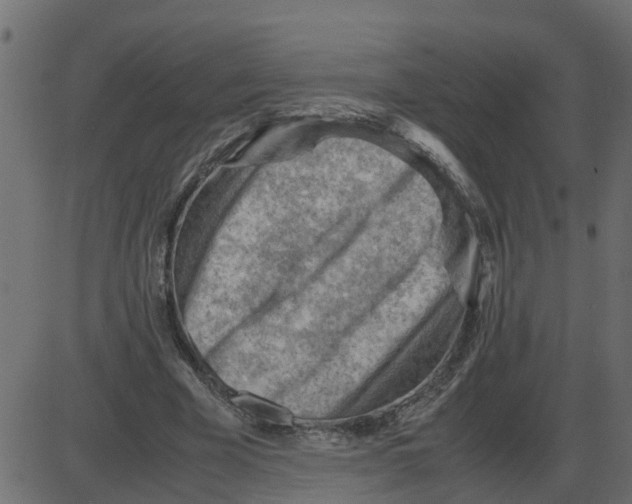 X0000087400585200705181334