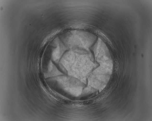 X0000087400586200705181334