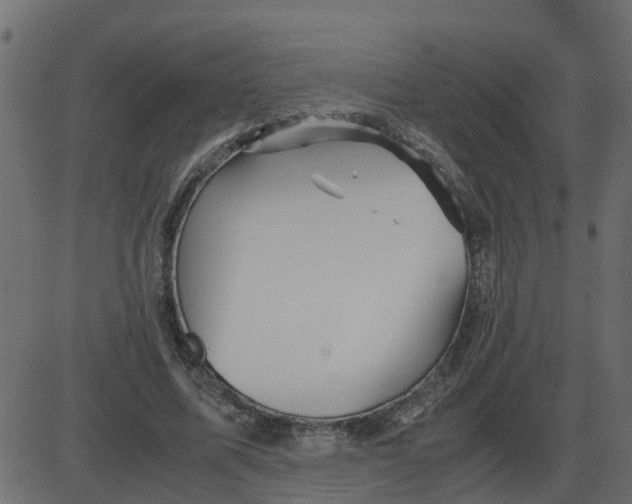 X0000087400587200705181334