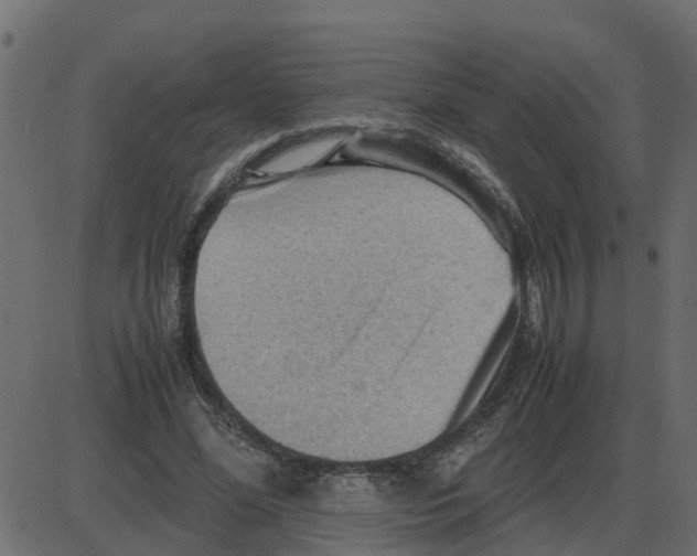 X0000087400588200705181334