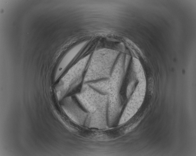 X0000087400589200705181334