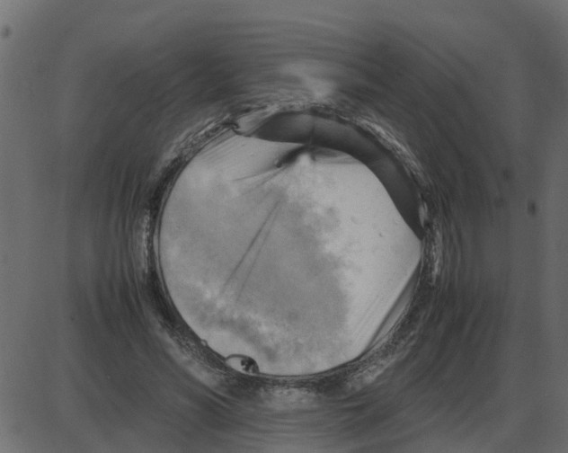 X0000087400590200705181334