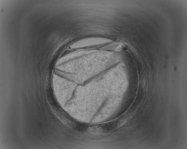 X0000087400591200705181334