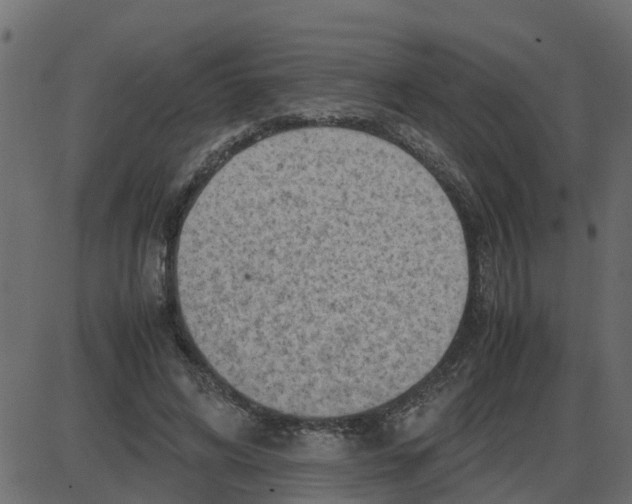 X0000087400592200705181334