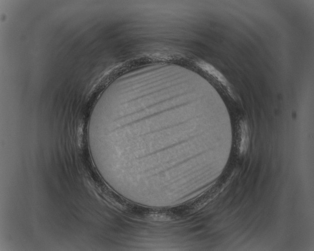 X0000087400596200705181334