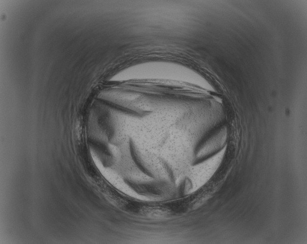 X0000087400597200705181334