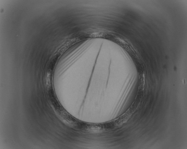 X0000087400598200705181334