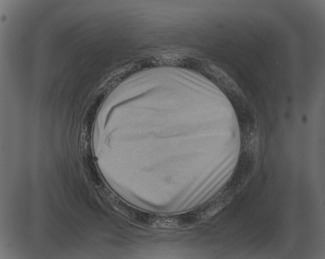 X0000087400599200705181334