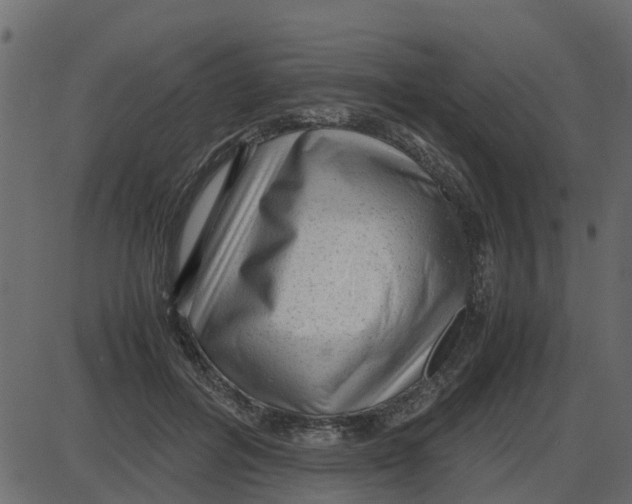 X0000087400600200705181334