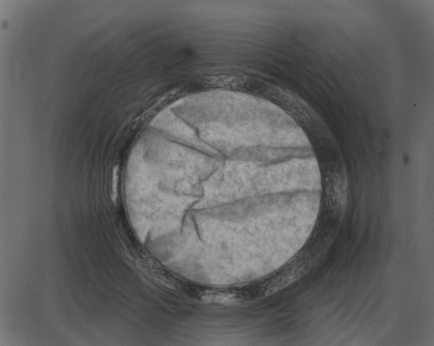 X0000087400602200705181334