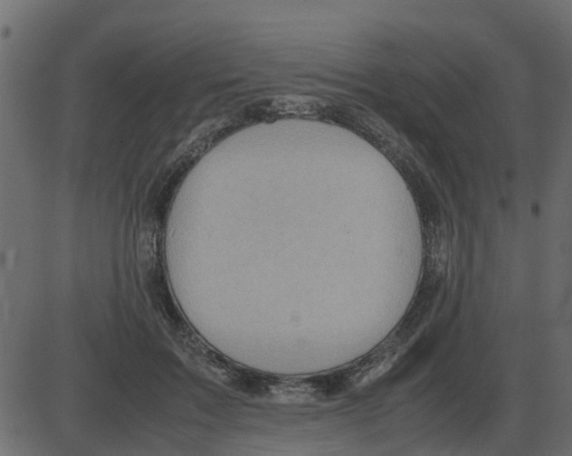 X0000087400603200705181334