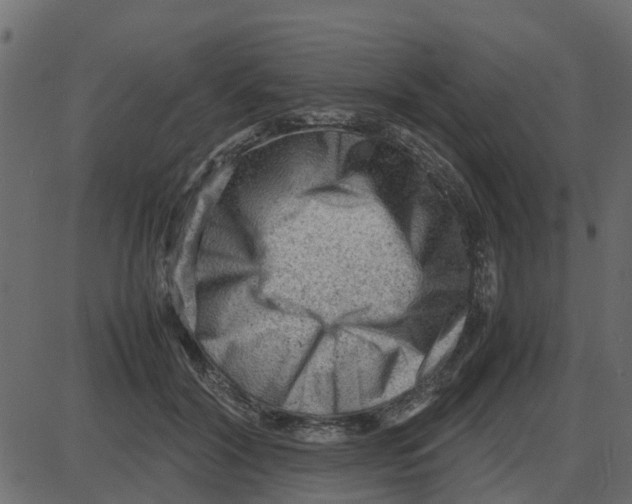 X0000087400604200705181334