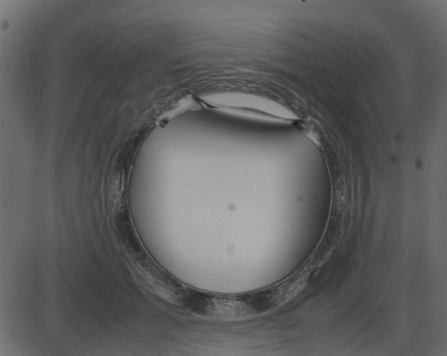 X0000087400605200705181334