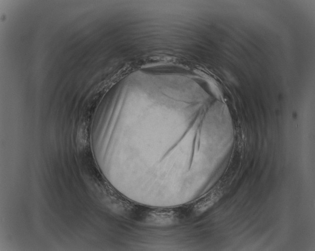 X0000087400606200705181334