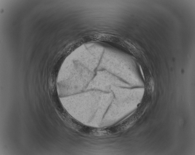 X0000087400607200705181334