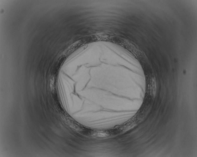 X0000087400610200705181334