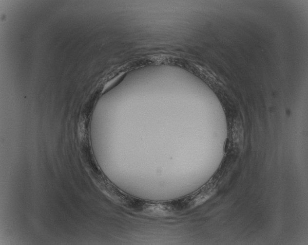 X0000087400611200705181334