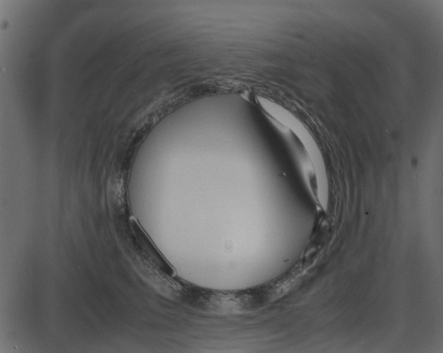 X0000087400613200705181334