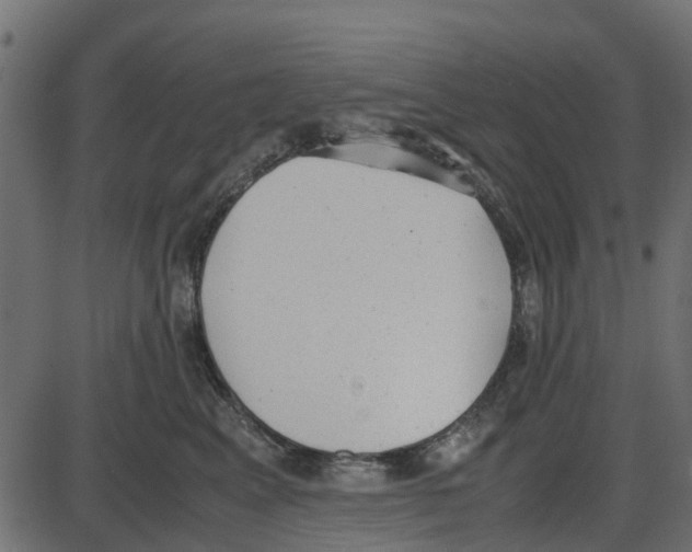 X0000087400617200705181334