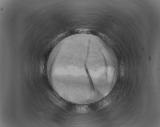 X0000087400618200705181334