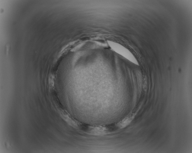 X0000087400621200705181334