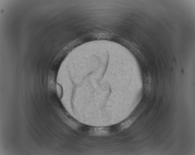 X0000087400622200705181334