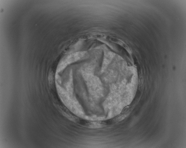 X0000087400623200705181334