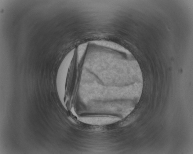 X0000087400624200705181334