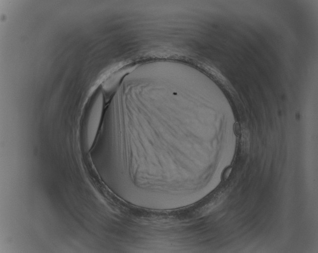 X0000087400626200705181333