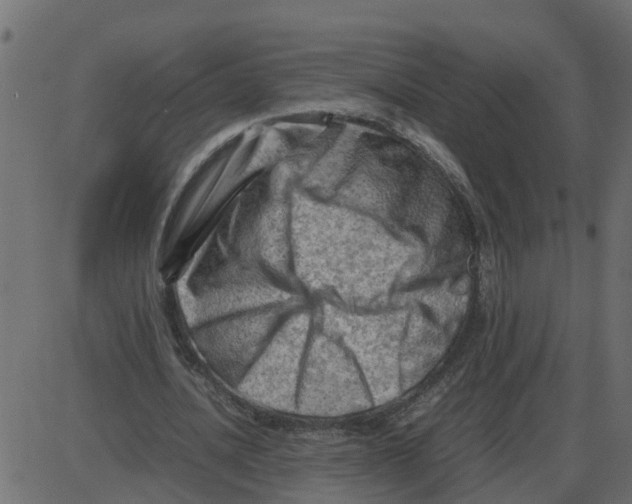 X0000087400628200705181333