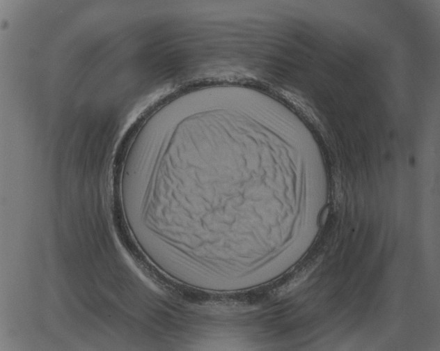 X0000087400630200705181333