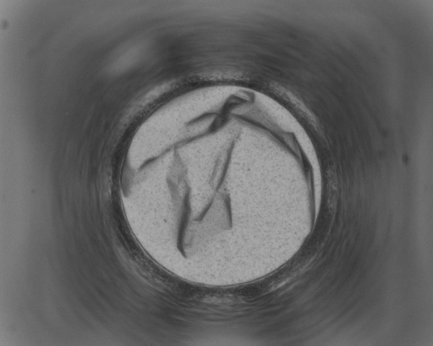 X0000087400631200705181333